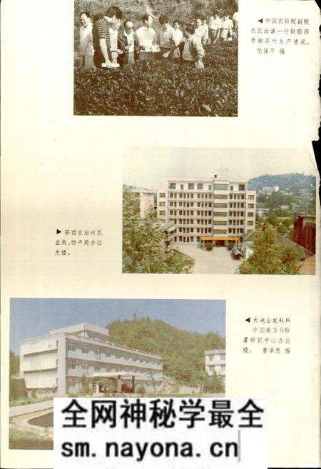 《鄂西农特志》.pdf电子版_湖北省志预览图5 《鄂西农特志》.pdf电子版_湖北省志预览图5