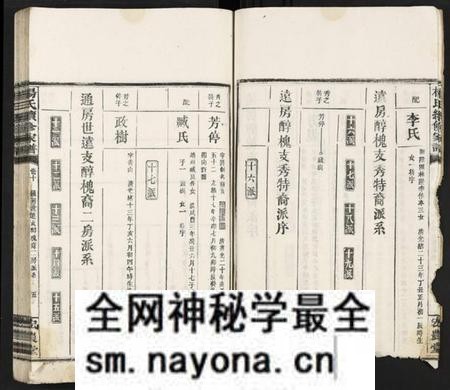 湖南杨氏族谱-杨氏续修家谱 [13卷].pdf电子版预览图5