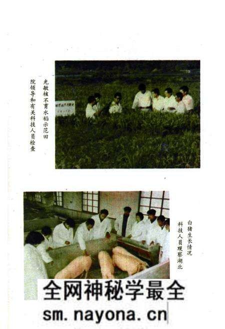 《《湖北省农业科学院志》》.pdf电子版_湖北省志预览图3
