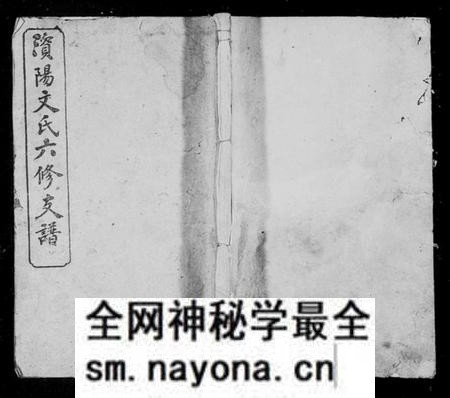 湖南文氏族谱-资阳文氏六修支谱 [8卷,首末各1卷].pdf电子版预览图1