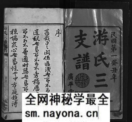 湖南游氏族谱-益阳游氏族谱 [5卷,卷2首,末1卷].pdf电子版预览图2