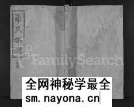 湖南罗氏族谱-罗氏续修族谱 [不分卷].pdf电子版预览图