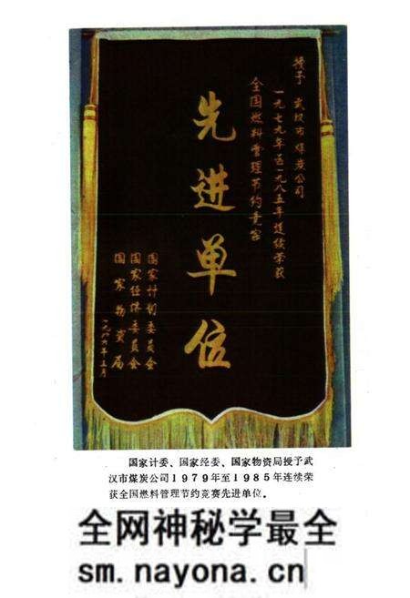 《武汉工业用煤志》.pdf电子版_湖北省志预览图4