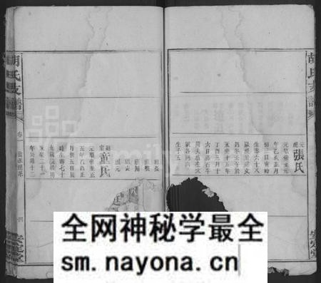 湖南胡氏族谱-胡氏支谱 [4卷,首末各1卷].pdf电子版预览图4