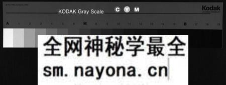 湖南张氏族谱-张氏六修支谱[8卷,首1卷,末1卷].pdf电子版预览图