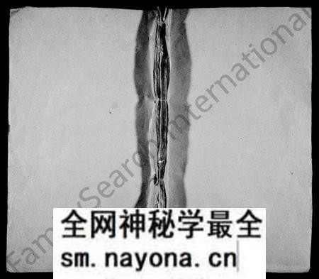湖南周氏族谱-炉前周氏续修族谱 [3卷,首1卷].pdf电子版预览图