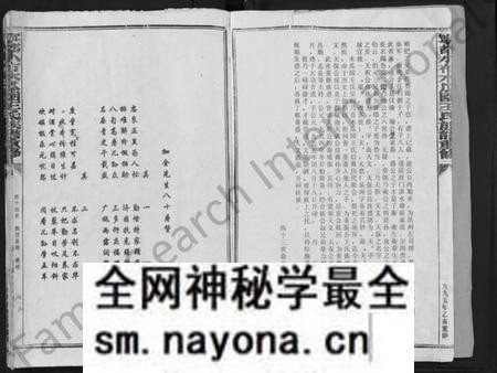 江西王氏族谱-宁都小布木瓜园王氏重修族谱 [不分卷].pdf电子版预览图2