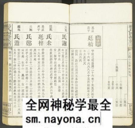 湖南未知族谱-杨氏四修族谱 [12册].pdf电子版预览图4