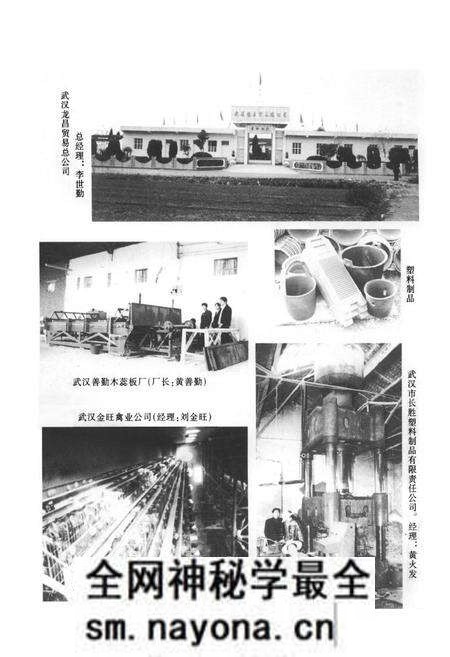 《《三店镇志》》.pdf电子版_湖北省志预览图5 《《三店镇志》》.pdf电子版_湖北省志预览图5