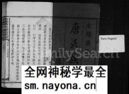 湖南唐氏族谱-晋阳唐氏续修族谱 [4卷,及卷首末].pdf电子版预览图2