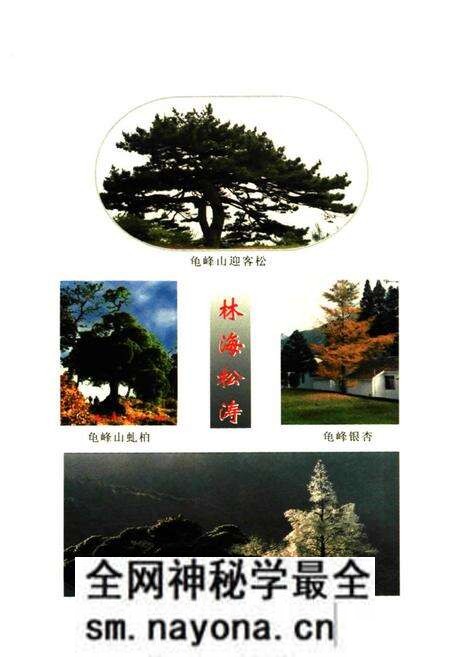 《龟峰山揽胜》.pdf电子版_湖北省志预览图4