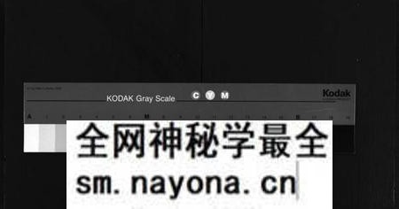 湖南萧氏族谱-萧氏四续族谱 [11卷,首尾各1卷].pdf电子版预览图