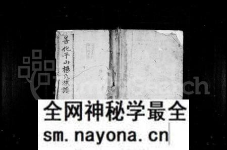 湖南杨氏族谱-杨氏族谱 [10卷].pdf电子版预览图1