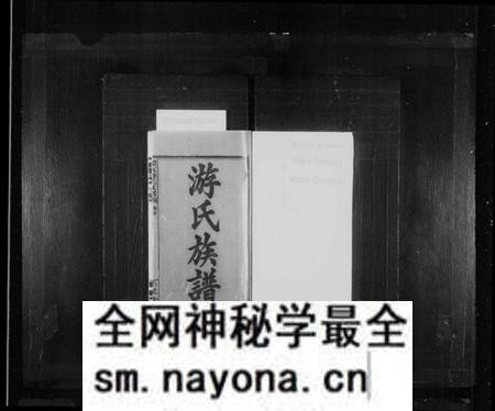 湖南游氏族谱-游氏族谱 [11卷,首3卷,末2卷].pdf电子版预览图2