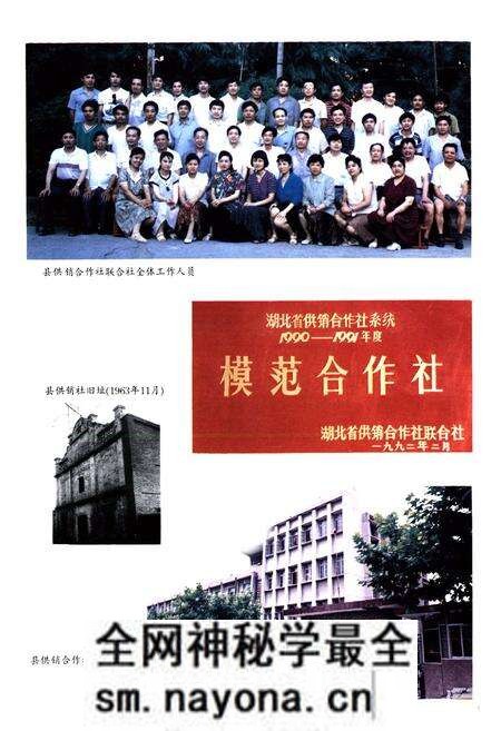 《枝江供销社志(1950-1985)》.pdf电子版_湖北省志预览图2 《枝江供销社志(1950-1985)》.pdf电子版_湖北省志预览图2