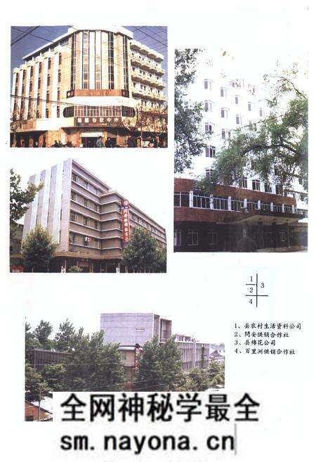 《枝江供销社志(1950-1985)》.pdf电子版_湖北省志预览图3 《枝江供销社志(1950-1985)》.pdf电子版_湖北省志预览图3