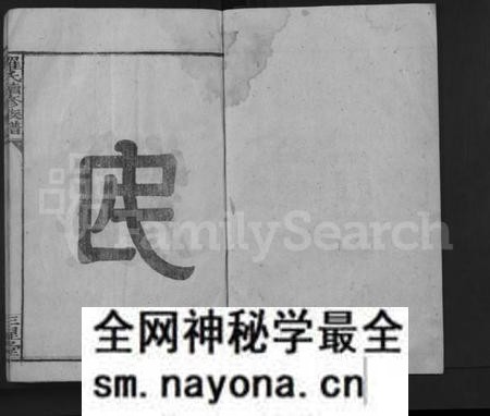 湖南罗氏族谱-罗氏续修族谱 [不分卷].pdf电子版预览图1