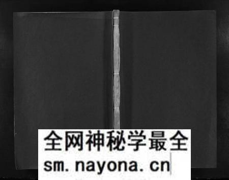 湖南吴氏族谱-吴氏宗谱 [不分卷].pdf电子版预览图