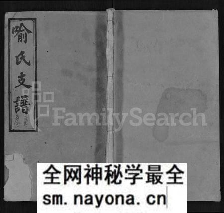 湖南喻氏族谱-河坞喻氏三修支谱 [10卷,首1卷].pdf电子版预览图