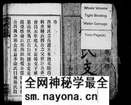 湖南易氏族谱-黑石铺易氏续修支谱 [10卷].pdf电子版预览图2