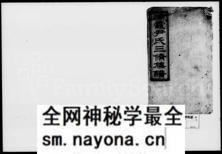 湖南尹氏族谱-尹氏三修族谱 [43卷,首2卷,末4卷].pdf电子版预览图