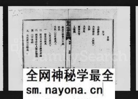 湖南杨氏族谱-杨氏七修族谱 [4卷].pdf电子版预览图1