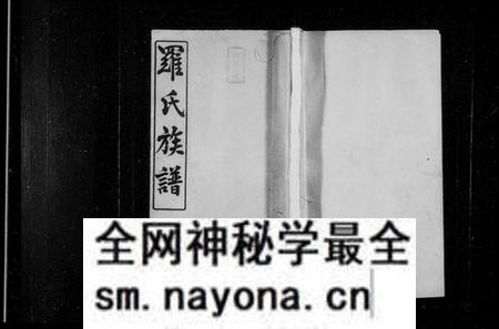 湖南罗氏族谱-罗氏续修族谱 [8卷].pdf电子版预览图1
