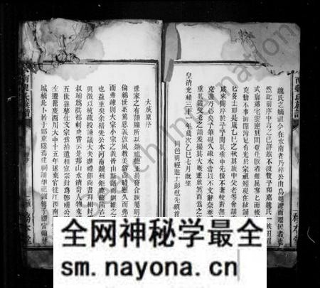 江西魏氏族谱-水南魏氏族谱.pdf电子版预览图2