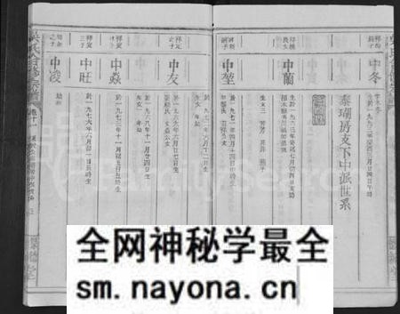 江西吴氏族谱-吴氏合修宗谱 [10卷,首末各1卷].pdf电子版预览图5