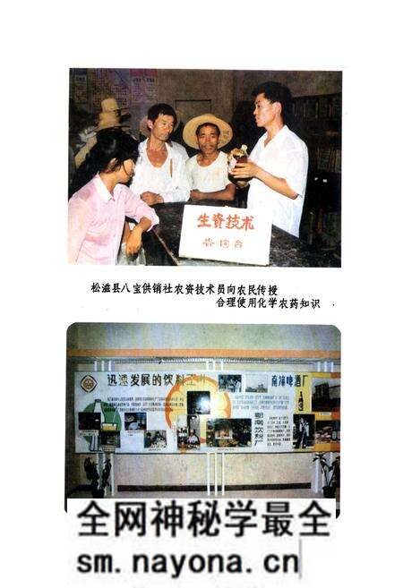 《湖北省供销合作社志》.pdf电子版_湖北省志预览图5