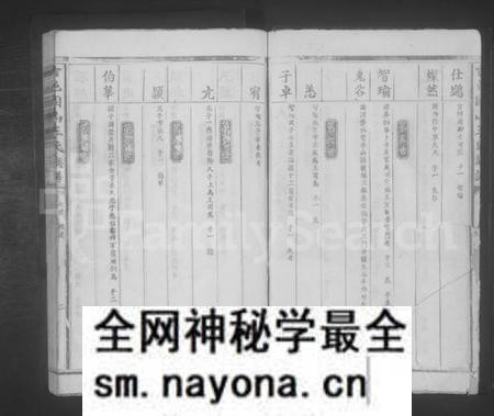 江西王氏族谱-吉邑固山王氏族谱.pdf电子版预览图2
