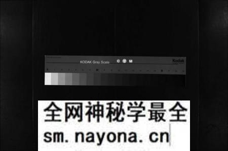 湖南李氏族谱-李氏族谱 [不分卷].pdf电子版预览图