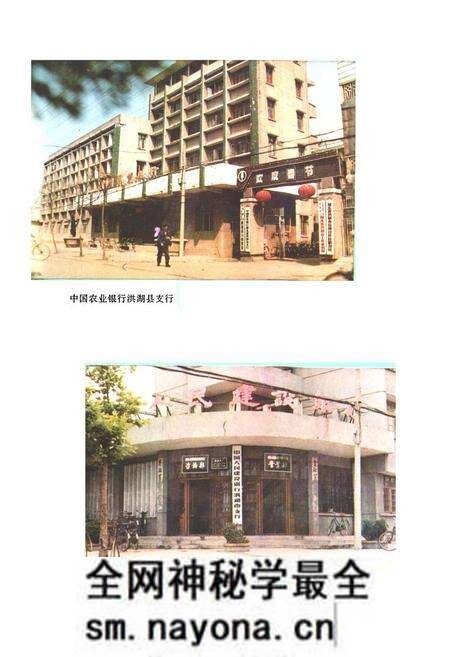 《《洪湖县金融志(1811-1987)》》.pdf电子版_湖北省志预览图4