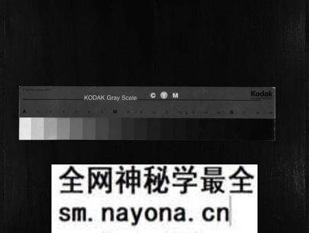 湖南朱氏族谱-中湘渚头朱氏锡仁公房支谱 [4卷].pdf电子版预览图