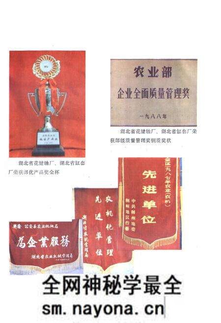 《《公安县农业机械志》》.pdf电子版_湖北省志预览图4