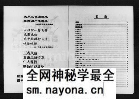 湖南王氏族谱-山涛王氏族谱.pdf电子版预览图4