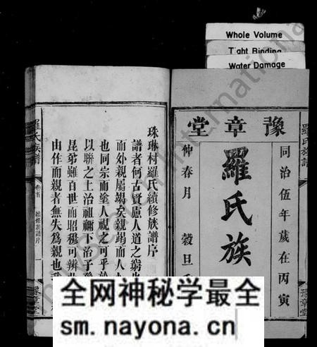 湖南罗氏族谱-罗氏族谱 [6卷,及卷首].pdf电子版预览图2
