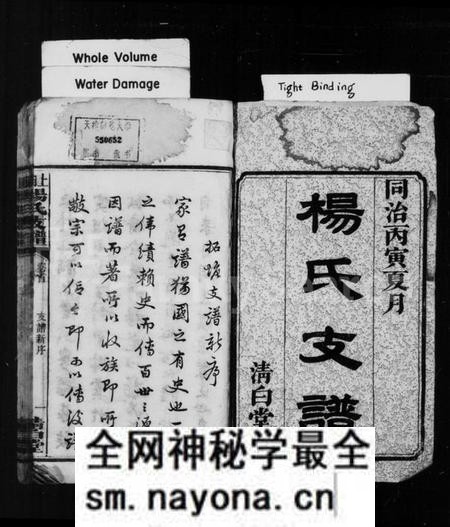 湖南杨氏族谱-杨氏支谱[5卷首1卷].pdf电子版预览图2