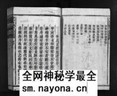湖南李氏族谱-金山井头李氏族谱 [不分卷].pdf电子版预览图3