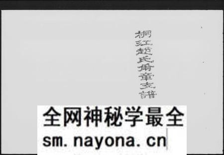 湖南赵氏族谱-桐江赵氏尔章公支谱 [4卷,首1卷].pdf电子版预览图