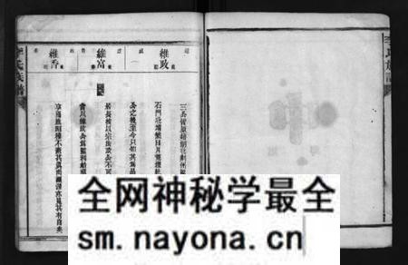 湖南李氏族谱-李氏族谱 [不分卷].pdf电子版预览图4