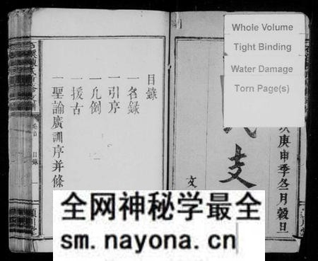 江西陈氏族谱-石溪陈氏重修支谱 [3卷,及卷首].pdf电子版预览图2