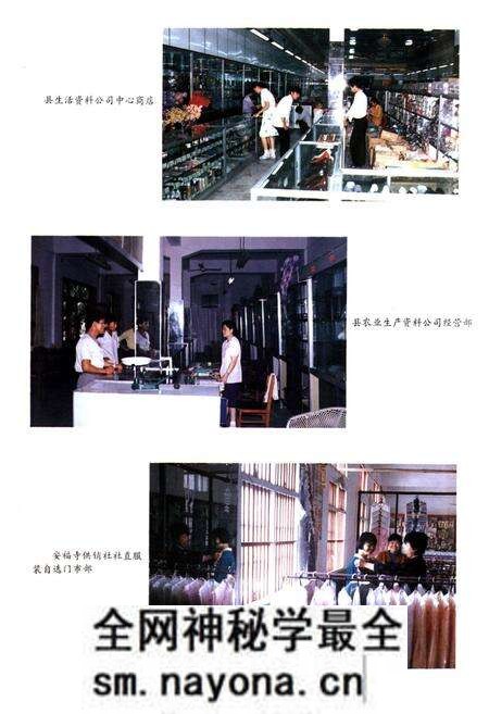 《枝江供销社志(1950-1985)》.pdf电子版_湖北省志预览图5 《枝江供销社志(1950-1985)》.pdf电子版_湖北省志预览图5