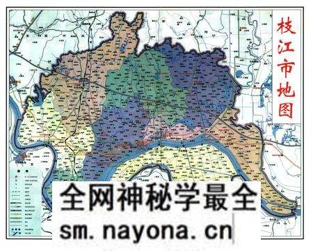《枝江人口志》.pdf电子版_湖北省志预览图4 《枝江人口志》.pdf电子版_湖北省志预览图4