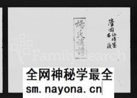 湖南杨氏族谱-杨氏七修族谱 [4卷].pdf电子版预览图