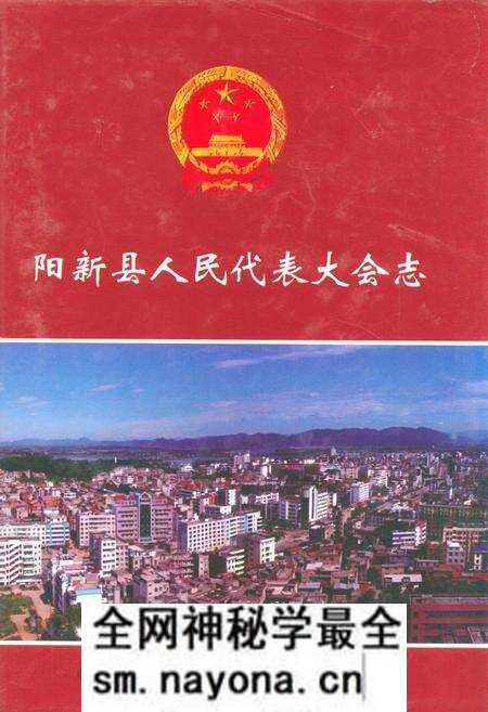 《《阳新县人民代表大会志》》.pdf电子版_湖北省志预览图