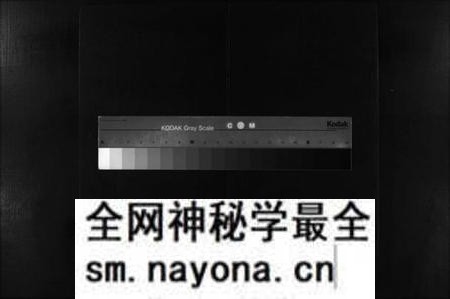 湖南叶氏族谱-叶氏四修族谱 [不分卷].pdf电子版预览图