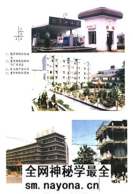 《枝江供销社志(1950-1985)》.pdf电子版_湖北省志预览图4 《枝江供销社志(1950-1985)》.pdf电子版_湖北省志预览图4