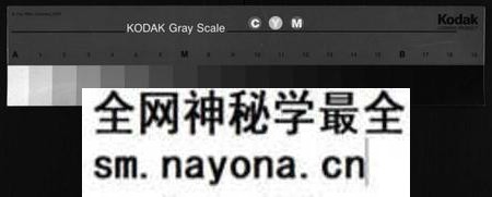 湖南周氏族谱-周氏五修族谱 [13卷,含卷首,末1卷].pdf电子版预览图