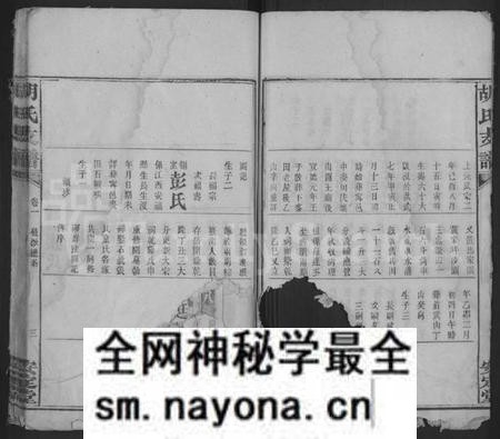 湖南胡氏族谱-胡氏支谱 [4卷,首末各1卷].pdf电子版预览图3